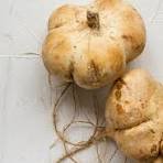 Корінь маки